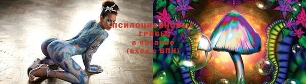 метадон Михайловка