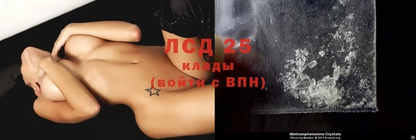 крисы Михайловск