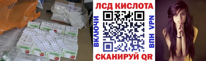 Купить закладки  Новозыбков  LSD-25 экстази кислота 